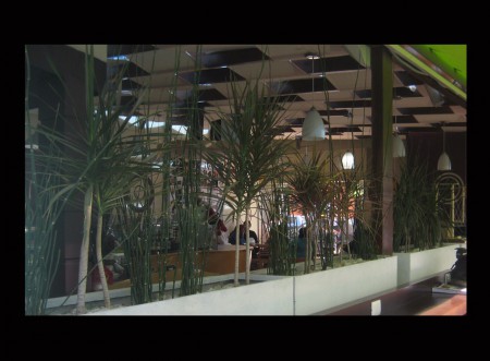 Cafetería Inn Haus, UDES - Puebla